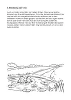 Vorschau - Arbeitsblätter - Sachtext: Tiere im März – Von Schlafmützen & Langohren - Seite 2