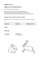 Vorschau - Arbeitsblätter - Sachtext: Tiere im März – Von Schlafmützen & Langohren - Seite 3
