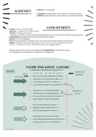 Vorschau - Poster - Merkblätter/Regelblätter Gedichtanalyse - Seite 2