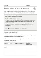 Vorschau - Arbeitsblätter - Die Nomen-Detektive & Nomen-Master- differenziert - Seite 2