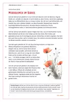 Vorschau - Arbeitsblätter - Sparpaket: Texte zur Weihnachtszeit (Kurzgeschichte, Märchen, Gedicht, Traumreise, Weihnachten) Winter, Weihnachtsfeier - Seite 1