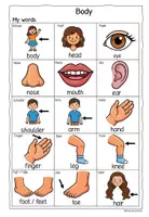 Vorschau - Unterrichtsreihen - Materialpaket: Body parts (Englisch in der Grundschule) - Seite 2