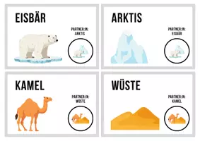 Vorschau - Bildkarten - Zufalls-Gruppenkarten „Tiere“ - spielerisch einteilen - Seite 1