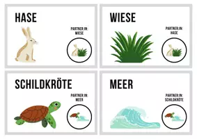 Vorschau - Bildkarten - Zufalls-Gruppenkarten „Tiere“ - spielerisch einteilen - Seite 3