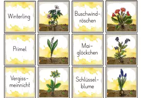 Vorschau - Spiele - Paarspiel / Paare finden: Frühblüher (Bild- und Textzuordnung) - Seite 3