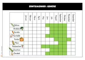 Vorschau - Poster - Erntekalender für Obst und Gemüse – Saisonales Lernen im Jahreskreis - Seite 2