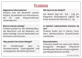 Vorschau - Arbeitsblätter - Proteine: Infokarten, Arbeitsblatt, Lösung & Rezepte - Seite 3