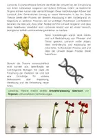 Vorschau - Arbeitsblätter - Lamarck Evolutionstheorie: Biologie, Anpassung & Vererbung - Seite 2