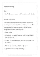 Vorschau - Stundenentwürfe - Laub- und Nadelbäume Unterrichtseinheit - Seite 2