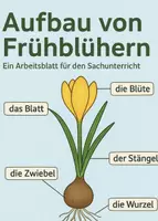 Vorschau - Arbeitsblätter - Aufbau Frühblüher - Arbeitsblatt und Tafelbild - Deckblatt