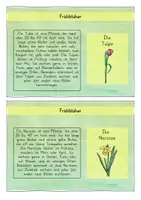 Vorschau - Arbeitsblätter - Frühblüher: Wissenskartei & Flipbook (Steckbriefe) - Sachunterricht - Kl. 2/3 - Seite 3