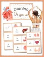 Vorschau - Spiele - Organe Lesedomino – Menschlicher Körper lesen & verstehen | Grundschule - Deckblatt