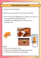 Vorschau - Mal- und Bastelvorlagen - Kunst: Eine Collage erstellen - Farbenlehre - Seite 3