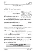 Vorschau - Arbeitsblätter - Waldbrände - Naturkatastrophen verstehen - Seite 2