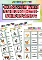 Vorschau - Arbeitsblätter - Ökosystem Wald Unterricht – Nahrungskette & Nahrungsnetz Biologie - Deckblatt