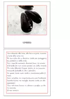 anteprima - Flashcard - Nomenclatura Montessori - Animali invertebrati 1 - Pagina 2