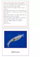 anteprima - Flashcard - Nomenclatura Montessori - Animali invertebrati 1 - Pagina di copertina