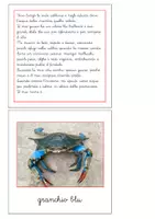 anteprima - Flashcard - Nomenclatura Montessori - Animali invertebrati 2 - Pagina 2