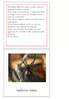 anteprima - Flashcard - Nomenclatura Montessori - Animali invertebrati 3 - Pagina 2