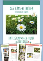 Vorschau - Arbeitsblätter - DAS GÄNSEBLÜMCHEN: Wissen, Bilder & Spiele (Kinder 3-6 J.) - Deckblatt