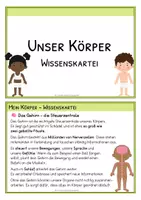 Vorschau - Arbeitsblätter - Unser Körper Klasse 3–4 – Wissenskartei, Arbeitsheft & Lernzielkontrolle im Materialset mit Lösungen - Seite 3