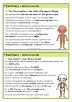 Vorschau - Stationenlernen - Unser Körper – Wissenskartei Klasse 3–4 für Freiarbeit, Stationen & Sachunterricht - Seite 3