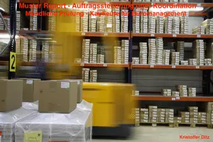 Vorschau - Arbeitsblätter - Muster Report - Auftragssteuerung und -Koordination - Kaufleute für Büromanagement - Deckblatt