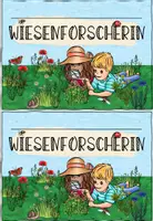Vorschau - Arbeitsblätter - Forscherheft Wiese verschiedene Klassenstufen + Zecken & Elternbrief - Seite 3