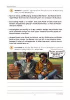 Vorschau - Arbeitsblätter - Der Aufbau eines Arguments (Behauptung, Begründung, Beispiel) - Seite 3