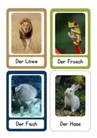 Vorschau - Bildkarten - Tiere und Farben - Bild- Wortkarten zur Sprachförderung - DaZ/DaF - Seite 3