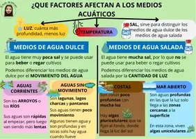 Vista previa - Refuerzo / NEE / Materiales de apoyo - Flashcards tema 6: ecosistemas y biodiversidad - página 2