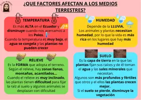 Vista previa - Refuerzo / NEE / Materiales de apoyo - Flashcards tema 6: ecosistemas y biodiversidad - página 3