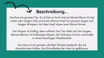 Vorschau - Stundenentwürfe - Materialpaket Evolution - VOLLSTÄNDIG - Seite 3