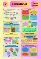 Vista previa - Refuerzo / NEE / Materiales de apoyo - Flashcards tema 6: ecosistemas y biodiversidad - Portada