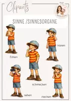 Vorschau - selbst erstellte Cliparts/Grafiken - Cliparts - Sinne/ Sinnesorgane - Deckblatt