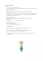 Vorschau - Mal- und Bastelvorlagen - Sommer-Fensterdeko: lustige Frösche aus Tonpapier – Bastelvorlagen für Kita & Grundschule - Seite 2