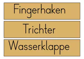 Vorschau - Arbeitsblätter - Trompete (Tafelmaterial & Arbeitsblatt) - Seite 2