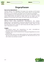 Vorschau - Arbeitsblätter - Zeigerpflanzen - Deckblatt