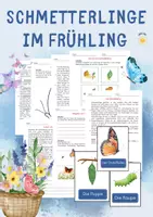 Vorschau - Arbeitsblätter - Raupe zum SCHMETTERLING 🦋 - Frühling Unterrichtsreihe - Deckblatt