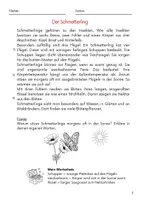 Vorschau - Arbeitsblätter - Raupe zum SCHMETTERLING 🦋 - Frühling Unterrichtsreihe - Seite 2