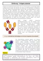 Vorschau - Arbeitsblätter - Antikörper und Antigene einfach erklärt - Seite 1