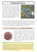Vorschau - Arbeitsblätter - Antikörper und Antigene einfach erklärt - Seite 2