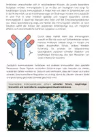 Vorschau - Arbeitsblätter - Antikörper und Antigene einfach erklärt - Seite 3