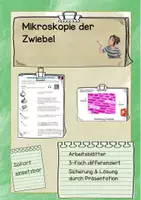 Vorschau - Arbeitsblätter - Mikroskopie der Zwiebel, mikroskopieren - Deckblatt