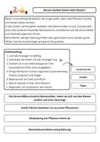 Vorschau - Arbeitsblätter - Mystery - Warum sterben immer mehr Bienen - Seite 3