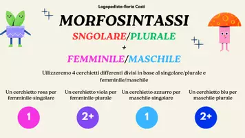 anteprima - Esercizi - MORFOSINTASSI FEMMINILE/MASCHILE + SINGOLARE/PLURALE - Pagina 2