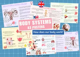 Vorschau - Poster - KÖRPERSYSTEME A3 POSTER - Seite 1