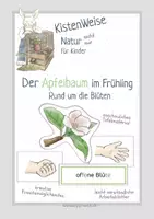 Vorschau - Arbeitsblätter - Der Apfelbaum im Frühling: Rund um die Blüte - Deckblatt