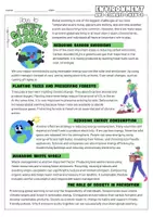 Vorschau - Arbeitsblätter - Environment and Climate Change | Reading Text & Arbeitsblatt | Niveau B1 - Seite 1