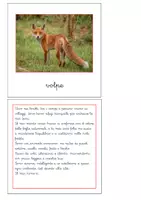 anteprima - Flashcard - Nomenclatura Montessori - Animali vertebrati 1 - Pagina di copertina